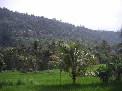 Sand&Regis, 15PICT0028