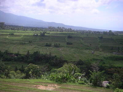 Sand&Regis, 21PICT0002