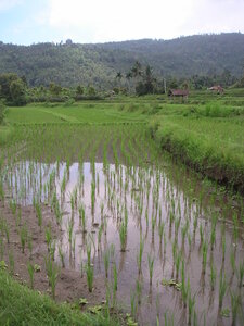 Sand&Regis, 16PICT0012