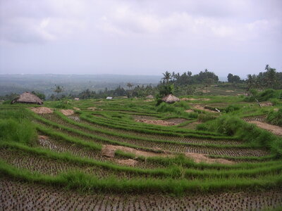 Sand&Regis, 17PICT0002