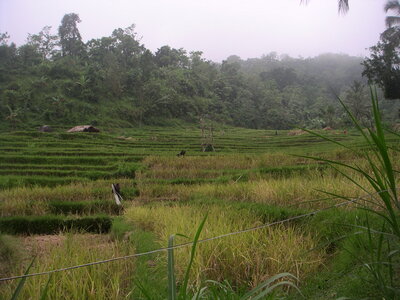 Sand&Regis, 17PICT0004
