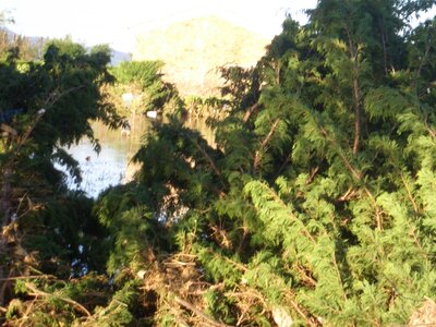 Roquebrune, CIMG1151
