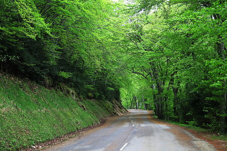 14- La Drôme, Route vers le col de Limouche