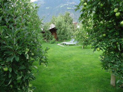 ARCALPIN, DSC00106