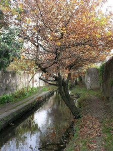 15-Facettes de Valence, Canal des Mal-contents