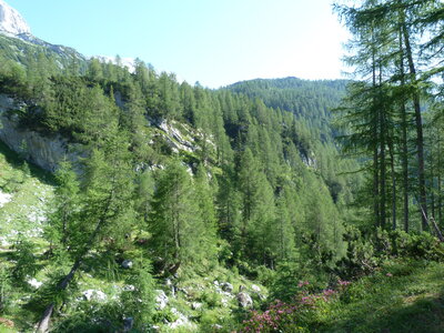 slovnie 2013 , P1020565