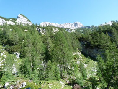 slovnie 2013 , P1020566