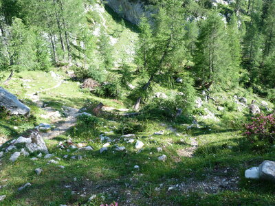 slovnie 2013 , P1020567