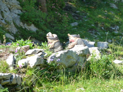 slovnie 2013 , P1020572