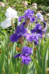 TEST, IMG_1493s