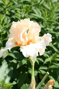 TEST, IMG_1490s