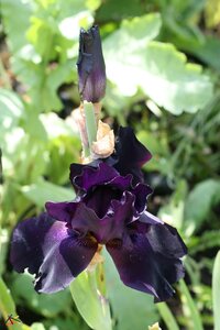 TEST, IMG_1489s