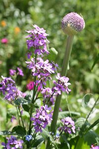 TEST, IMG_1485s