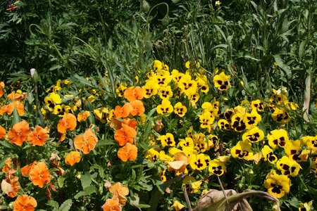 TEST, IMG_1429s