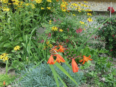 Bulg_2013-Etara (village ethnographique), Anim-Fleurs