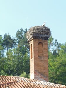 Bulg_2013-Tryavna-Les-oiseaux, DSCN0919