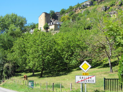 Salles la Source (Aveyron), IMG_6131