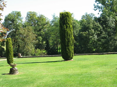 LAUTREC-SAUVETERRE-VILLEFRANCHE-BEAUMONT, 034 LE BOSC