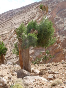 Maroc Claude Septembre 2013, SS850058