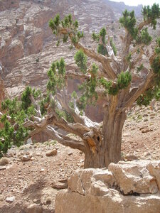 Maroc Claude Septembre 2013, SS850059