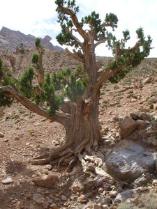 Maroc Claude Septembre 2013, SS850060