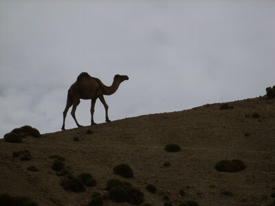 Maroc Claude Septembre 2013, SS850063