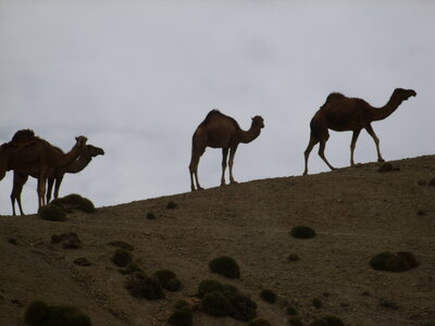 Maroc Claude Septembre 2013, SS850065