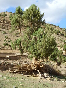 Maroc Claude Septembre 2013, SS850090
