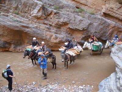 Maroc Claude Septembre 2013, SS850101