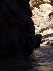 Maroc Claude Septembre 2013, SS850103