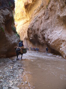 Maroc Claude Septembre 2013, SS850106
