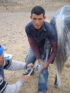 Maroc Claude Septembre 2013, SS850117