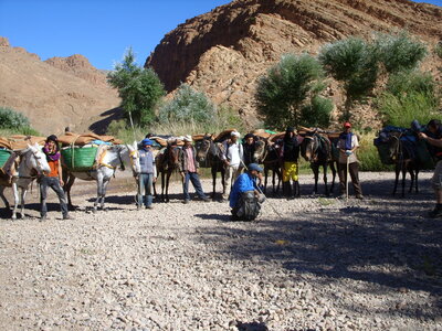 Maroc Claude Septembre 2013, SS850121