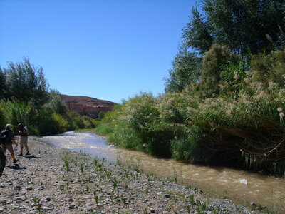 Maroc Claude Septembre 2013, SS850124