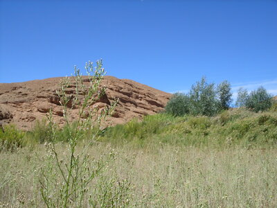 Maroc Claude Septembre 2013, SS850131