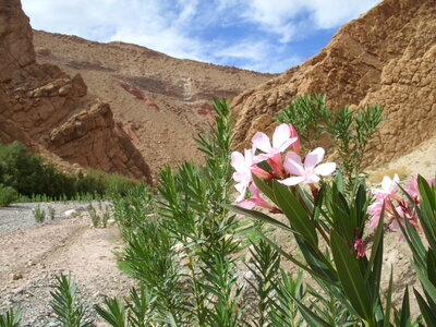 Maroc Claude Septembre 2013, SS850146