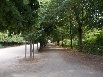 été 2013, DSCN0316