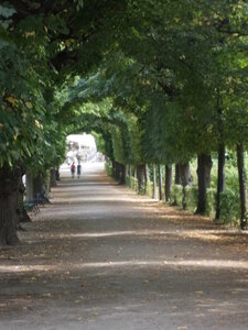 été 2013, DSCN0317