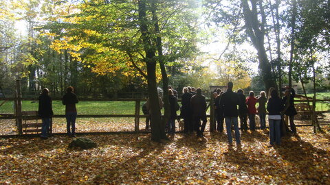 Photos de Pitch (Bordeaux), DSC02989