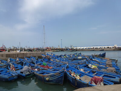 Découverte Essaouira août 2013, P1000612