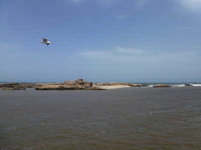 Découverte Essaouira août 2013, P1000616