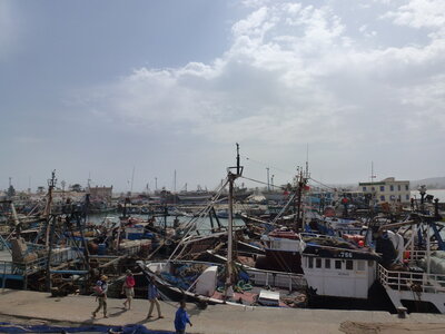 Découverte Essaouira août 2013, P1000619