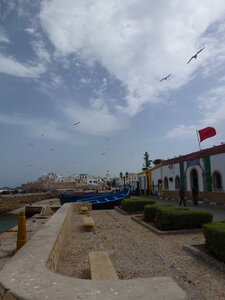 Découverte Essaouira août 2013, P1000627