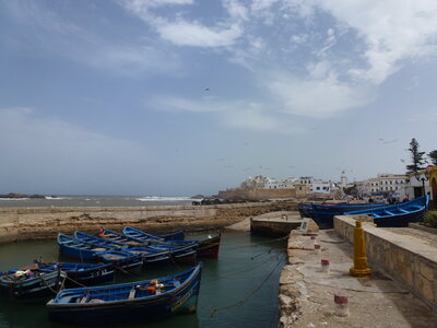Découverte Essaouira août 2013, P1000628