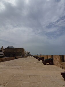 Découverte Essaouira août 2013, P1000636