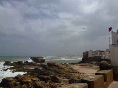 Découverte Essaouira août 2013, P1000640