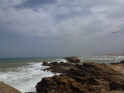 Découverte Essaouira août 2013, P1000641