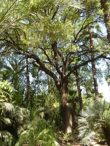 Découverte Essaouira août 2013, P1000688