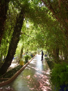 Découverte Essaouira août 2013, P1000691