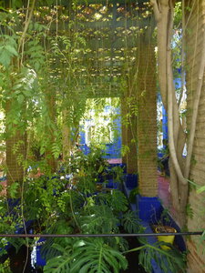 Découverte Essaouira août 2013, P1000695